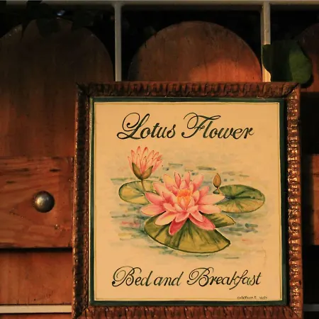 Lotus Flower *